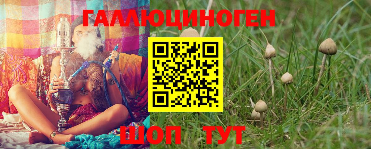 Псилоцибиновые грибы мицелий Шарыпово